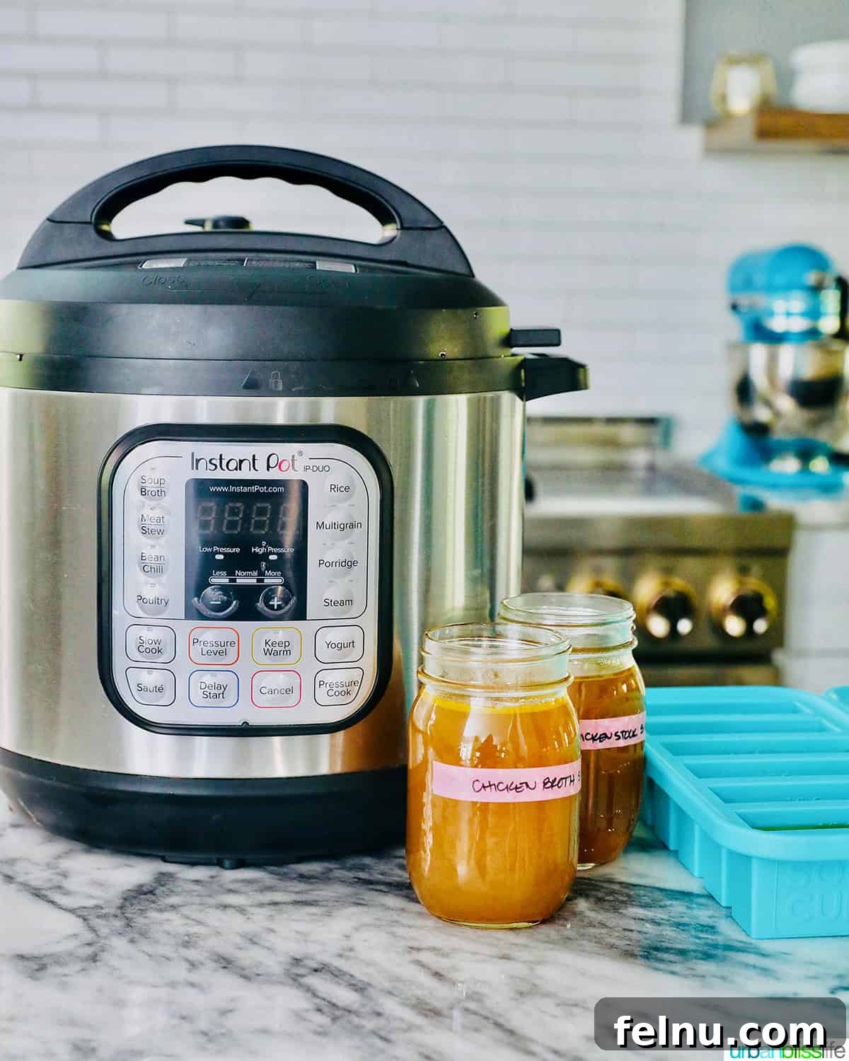 Instant Pot with jars of chicken stock