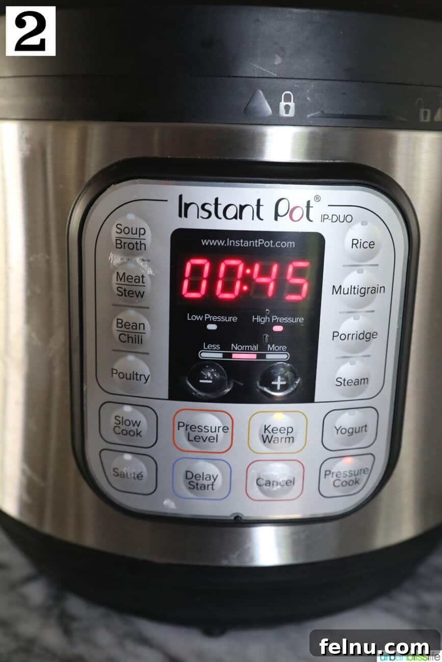 Water covering scraps in an Instant Pot