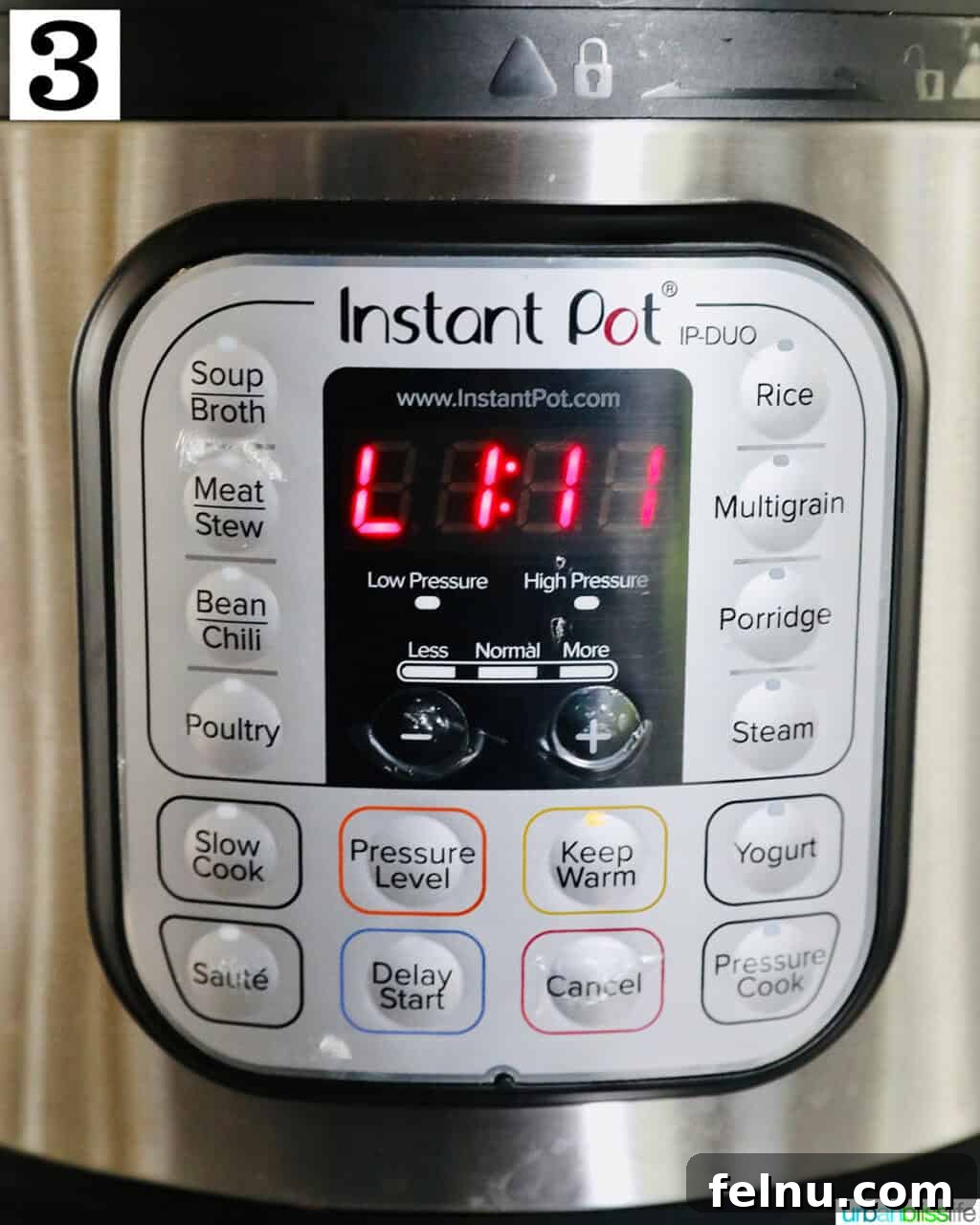 Herbs added to the Instant Pot