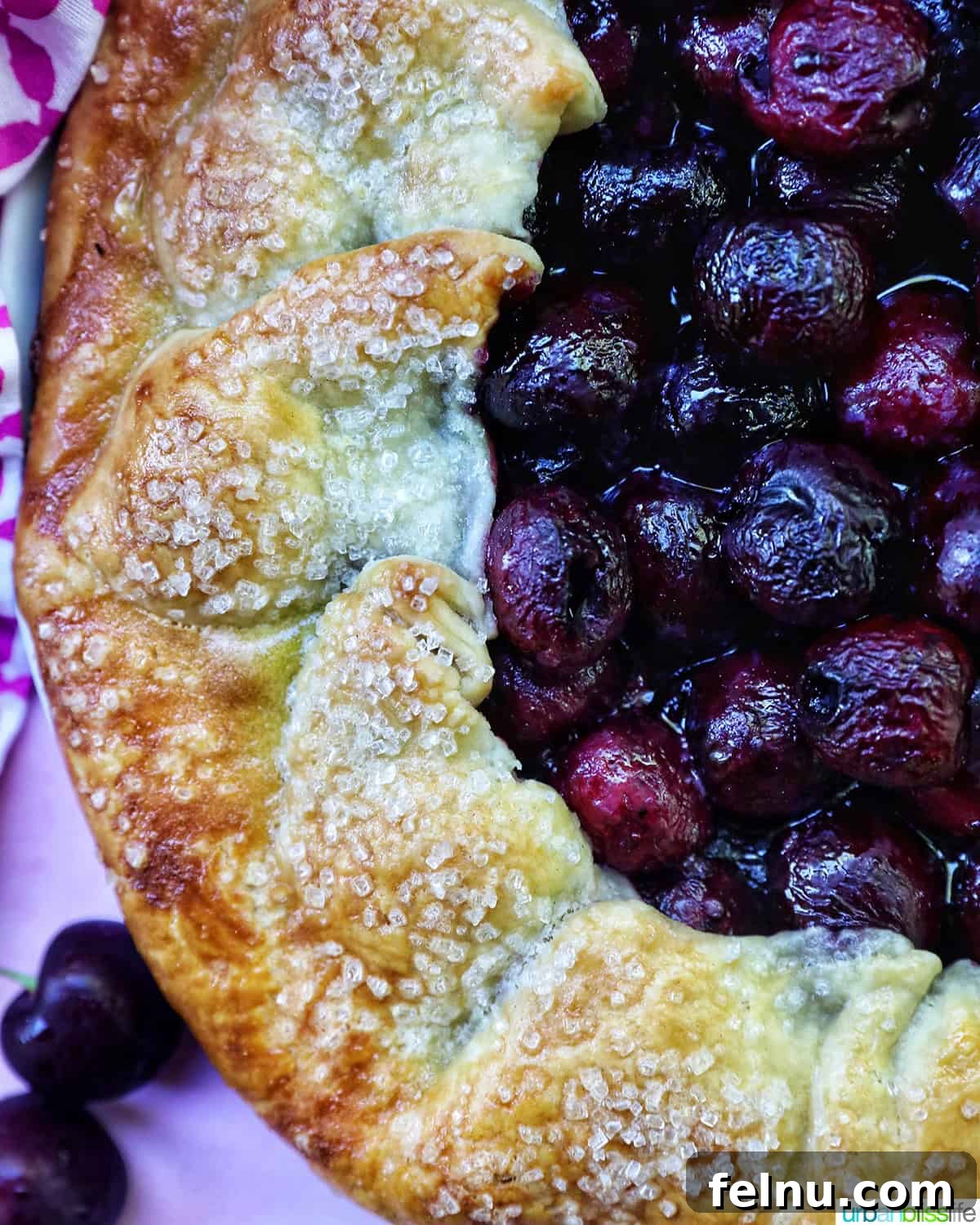 Cherry Bliss Galette 3 Close-up of a perfectly baked cherry galette