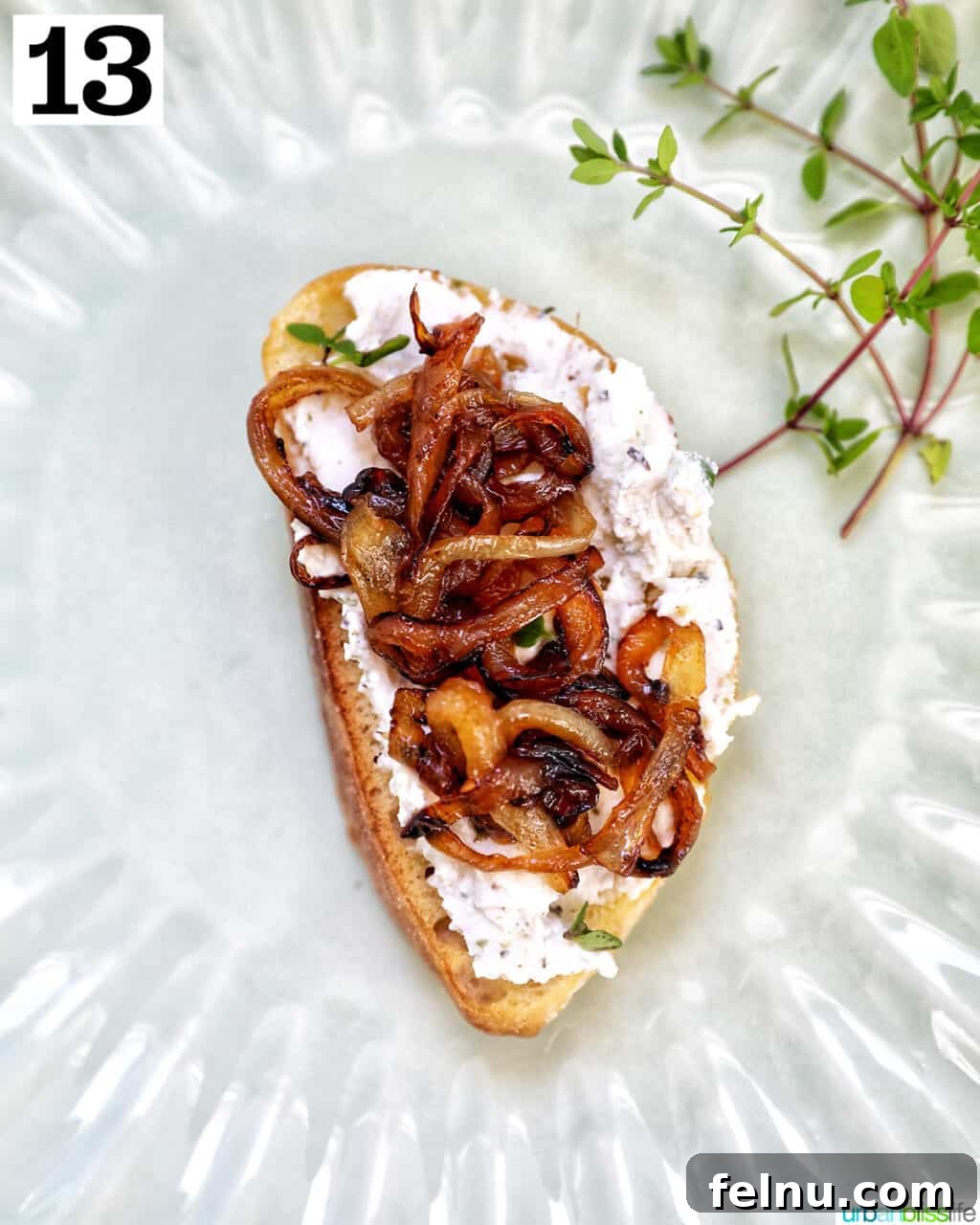 Savory Mushroom Toasts 17 Caramelized onions layered on top of herbed goat cheese spread on a crostini.