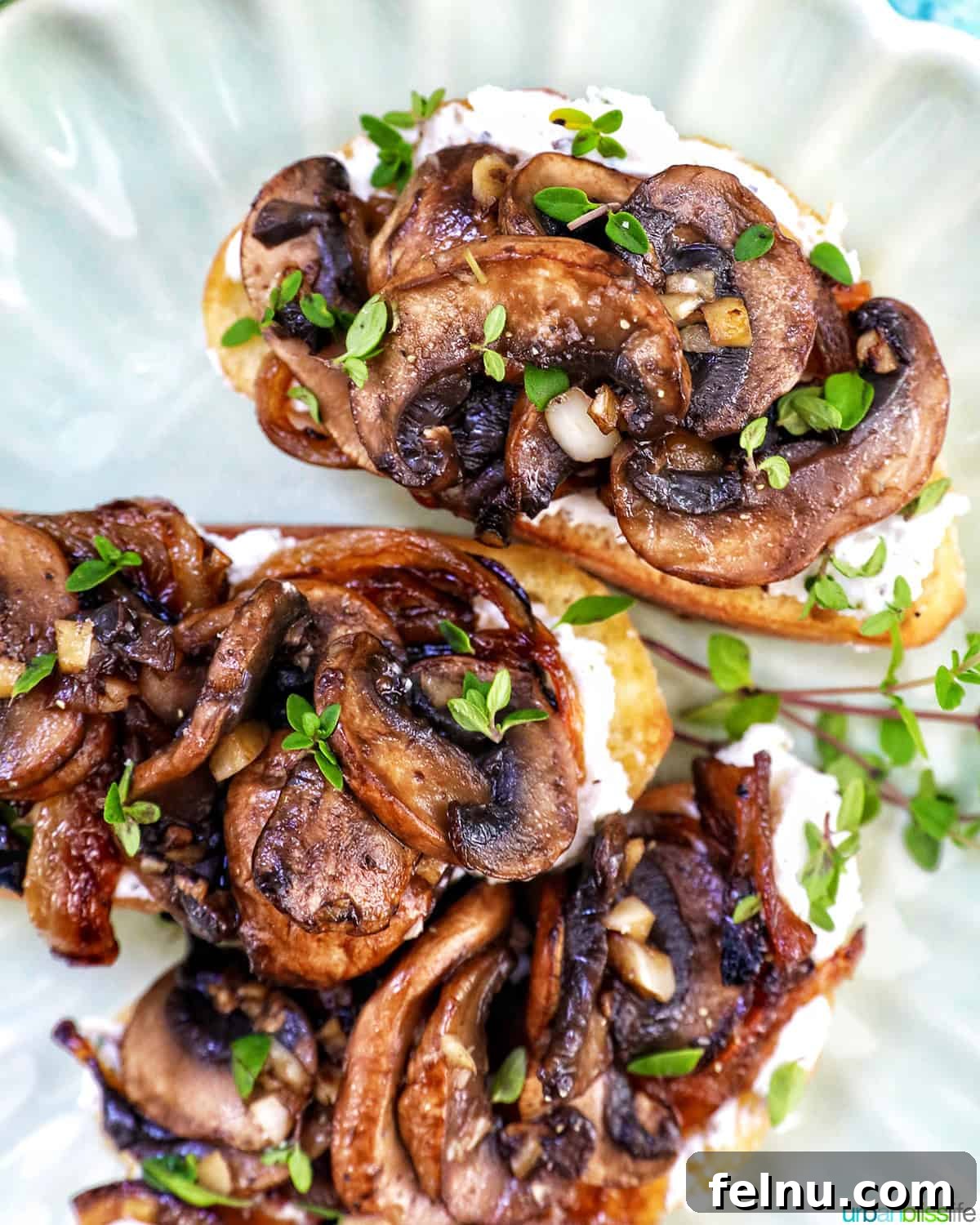 Savory Mushroom Toasts 3 Angle shot of three mushroom crostini artfully arranged on a white plate, ready to be served.