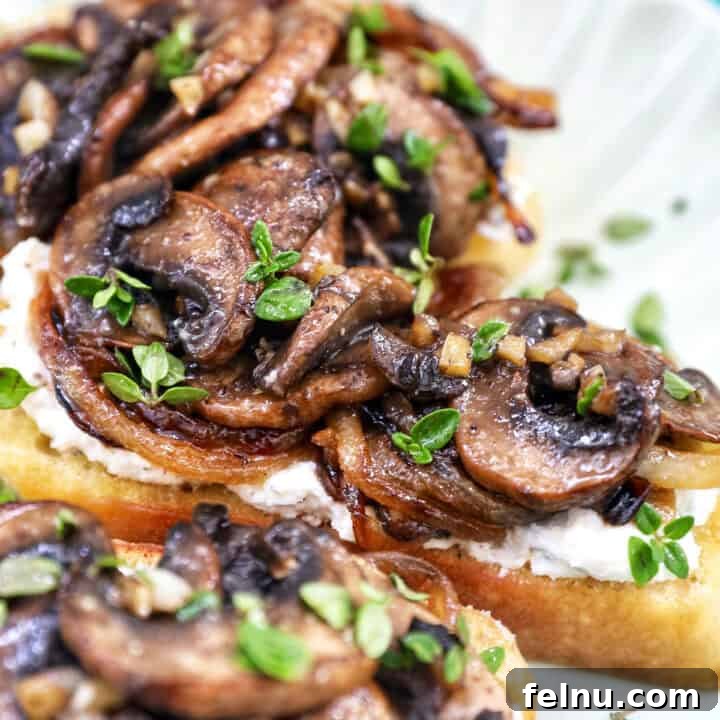 Savory Mushroom Toasts 22 Mushroom crostini garnished with fresh thyme, presented beautifully.