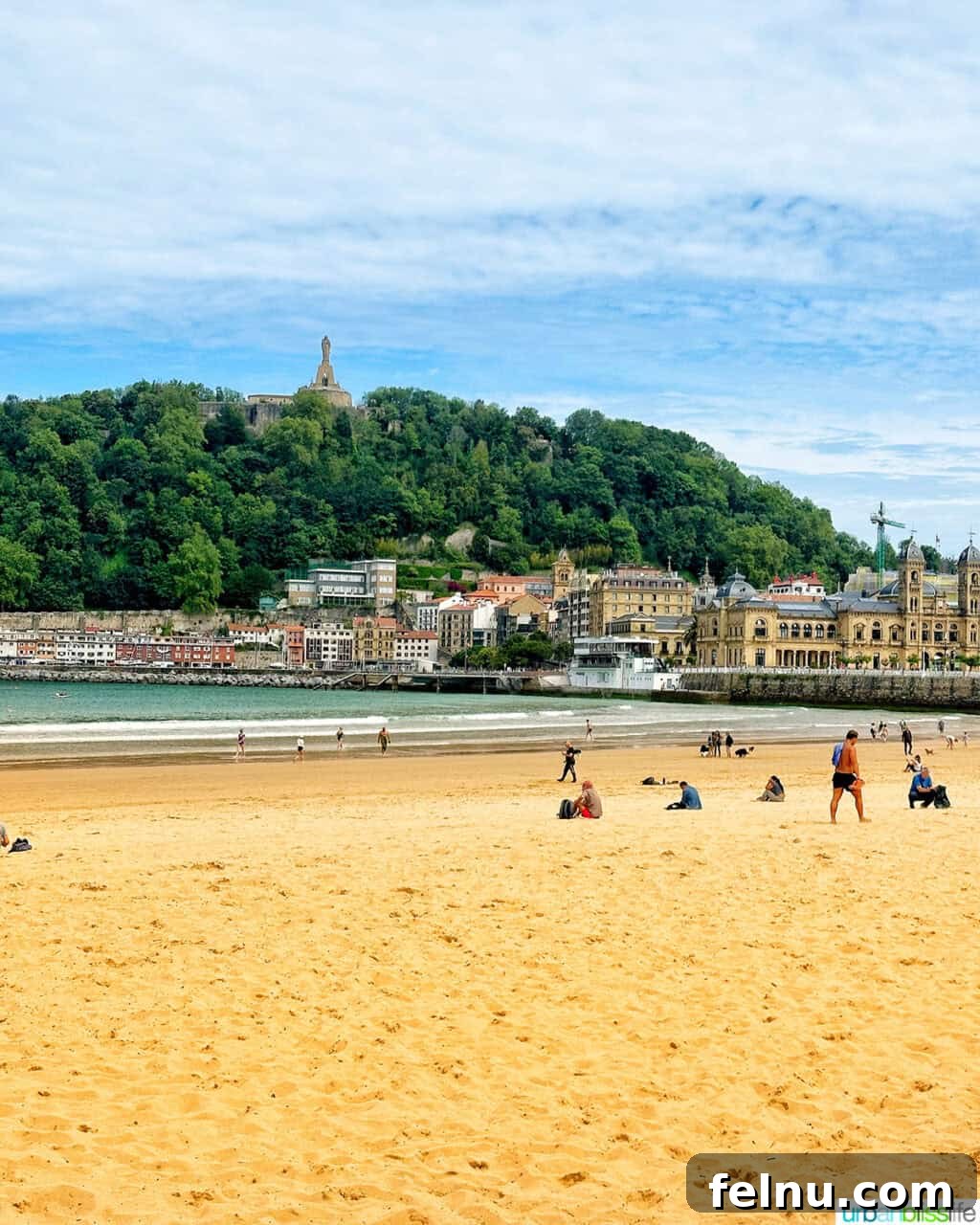 Top Experiences in San Sebastian 8 Scenic views of La Concha Beach with trees in San Sebastian, Spain