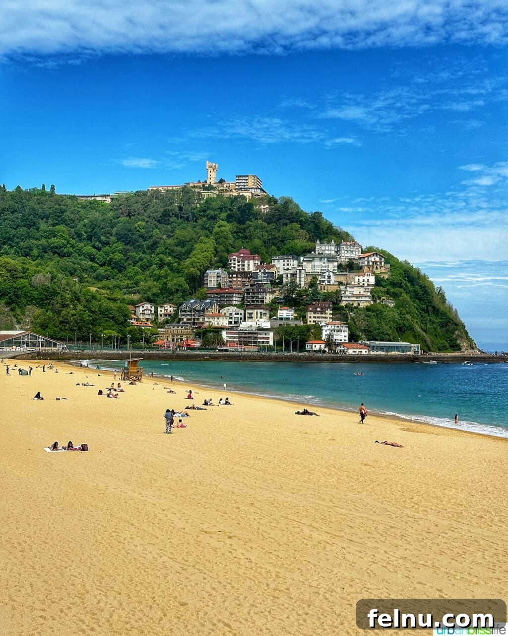 Top Experiences in San Sebastian 9 Beautiful trees lining La Concha Beach in San Sebastian, Spain