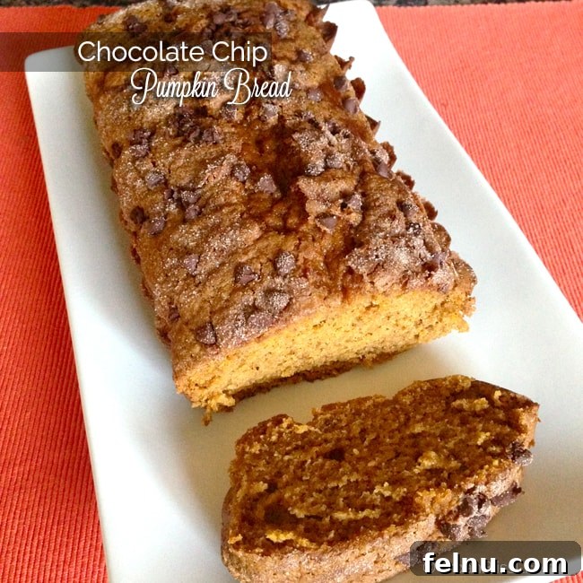 Chocolate Chip Pumpkin Bread