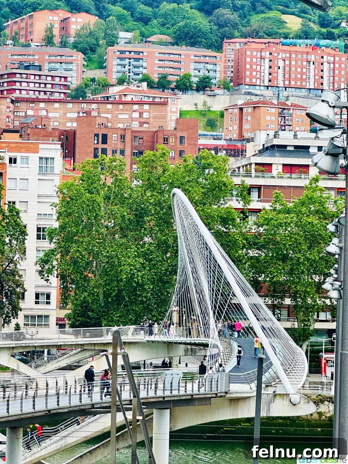 Bilbao Unveiled: Exploring Spain's Basque Masterpiece 16 The modern and distinctive Zubizuri bridge in Bilbao, characterized by its elegant white arch and glass walkway.