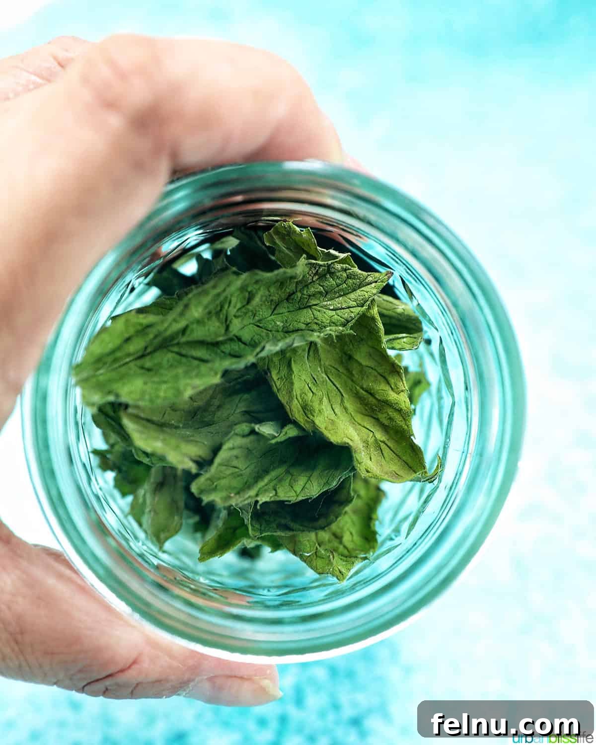 Dried mint leaves in a mason jar
