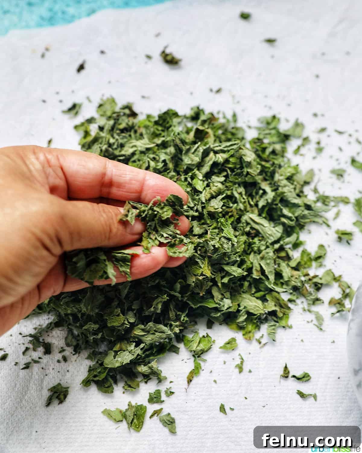 How to Dry Oregano at Home 11 hand crushing dried oregano leaves over a paper towel.