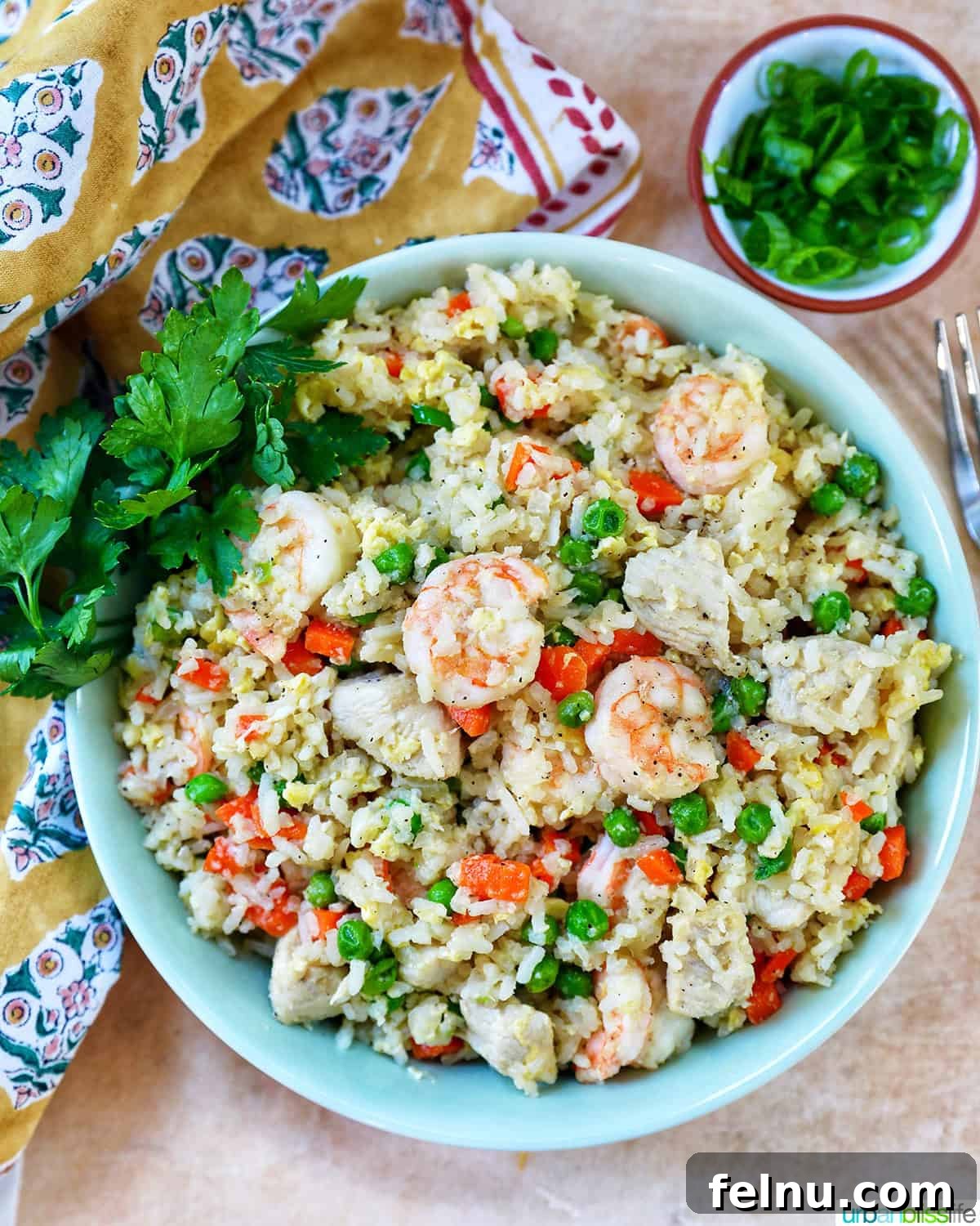 Shrimp and Chicken Stir-Fry Rice Bowl 2 Bowl of shrimp and chicken fried rice