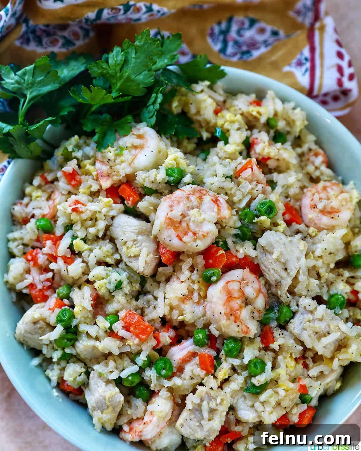 Shrimp and Chicken Stir-Fry Rice Bowl 17 Bowl of shrimp and chicken fried rice with parsley garnish