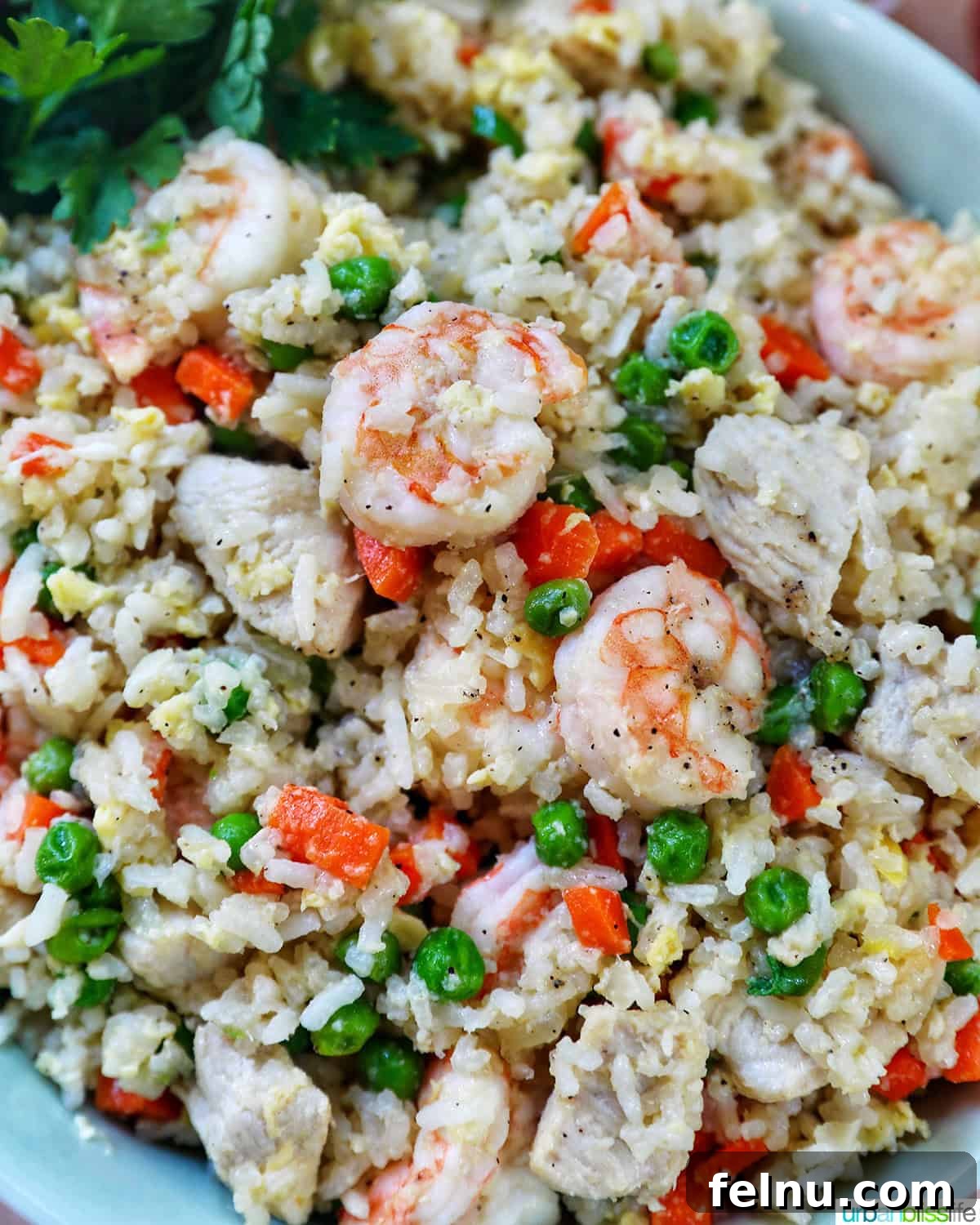Shrimp and Chicken Stir-Fry Rice Bowl 3 Close-up of shrimp and chicken fried rice
