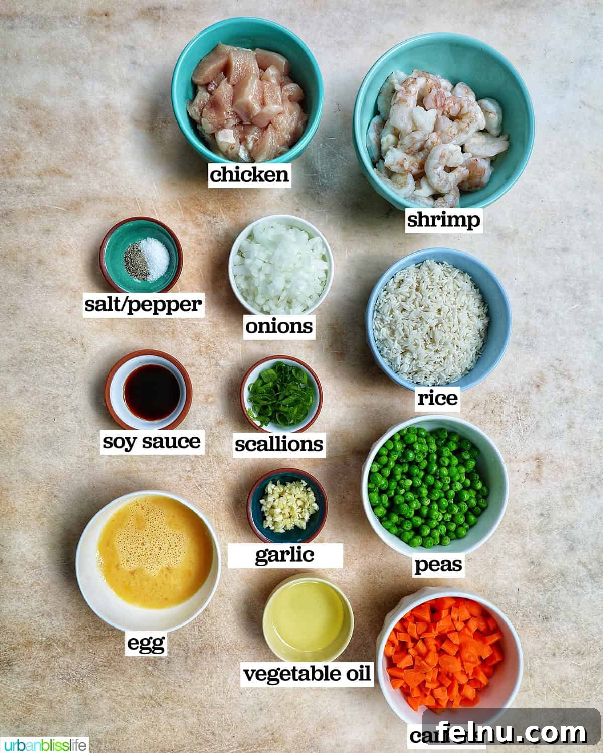 Shrimp and Chicken Stir-Fry Rice Bowl 4 Ingredients for shrimp and chicken fried rice