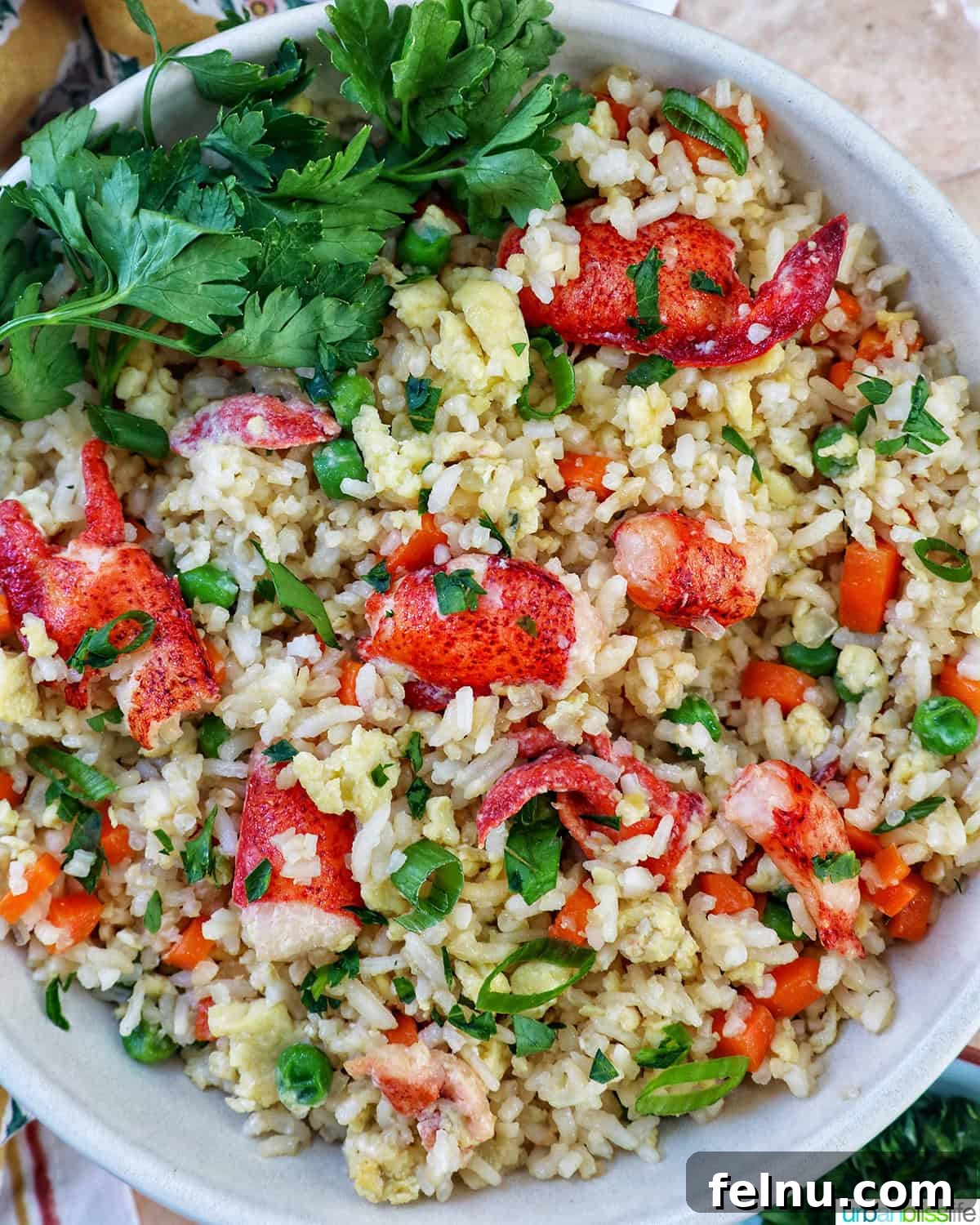 Decadent Lobster Fried Rice 2 bowl of lobster fried rice.