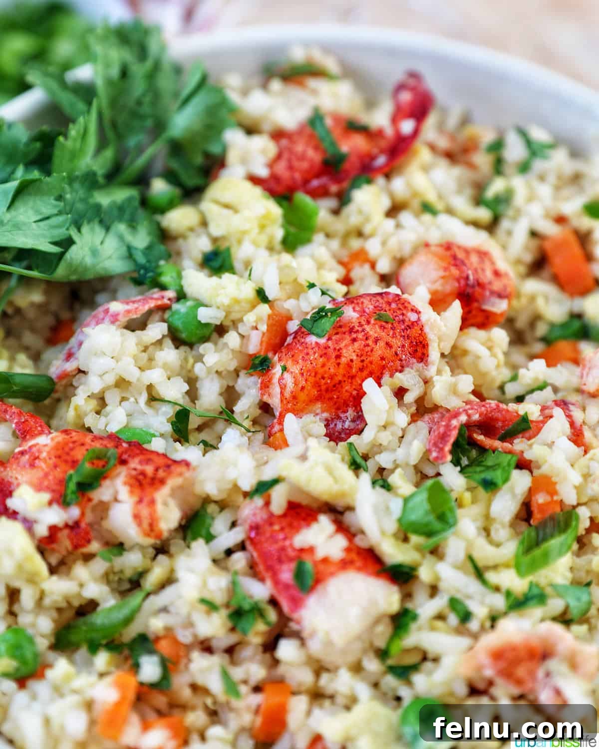 Decadent Lobster Fried Rice 14 bowl of lobster fried rice.
