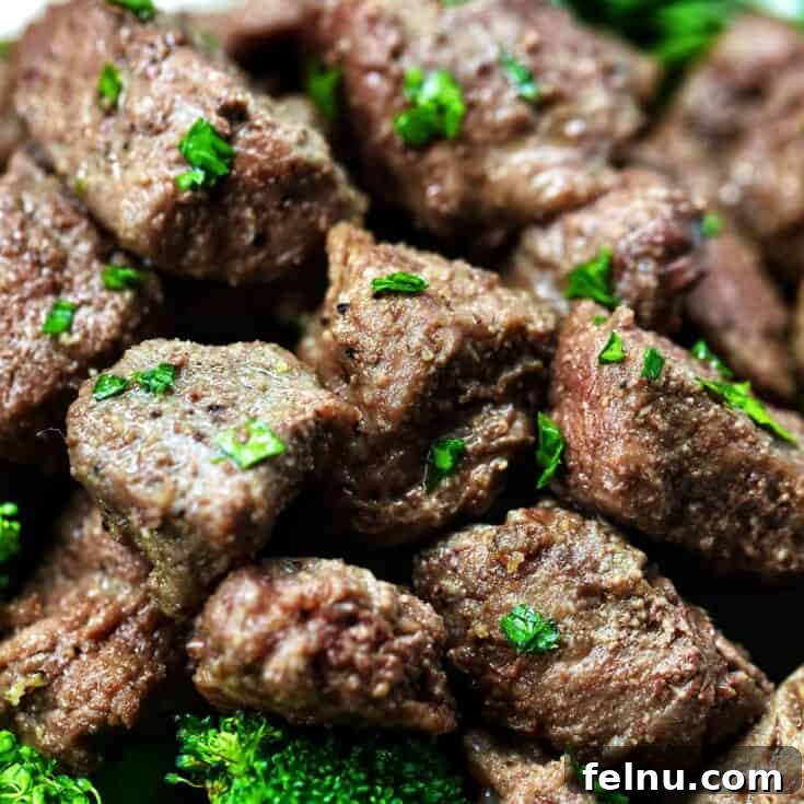 Air Fryer Steak Bites
