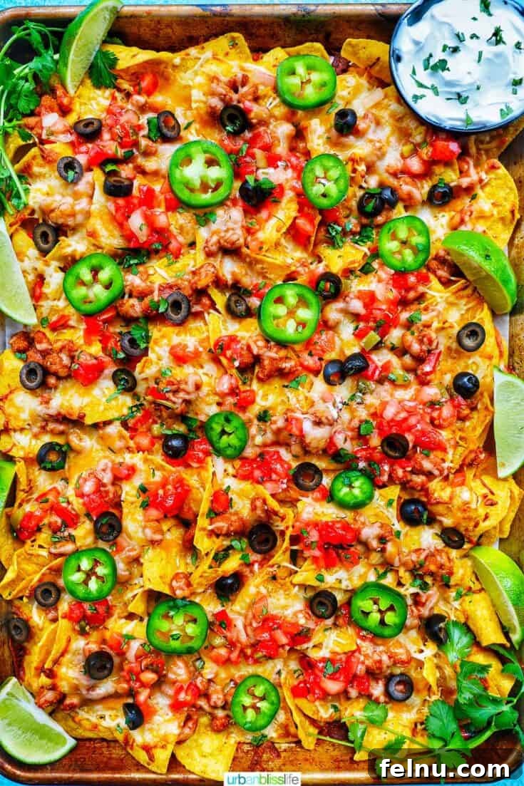 Tex-Mex Vegetarian Sheet Pan Nachos