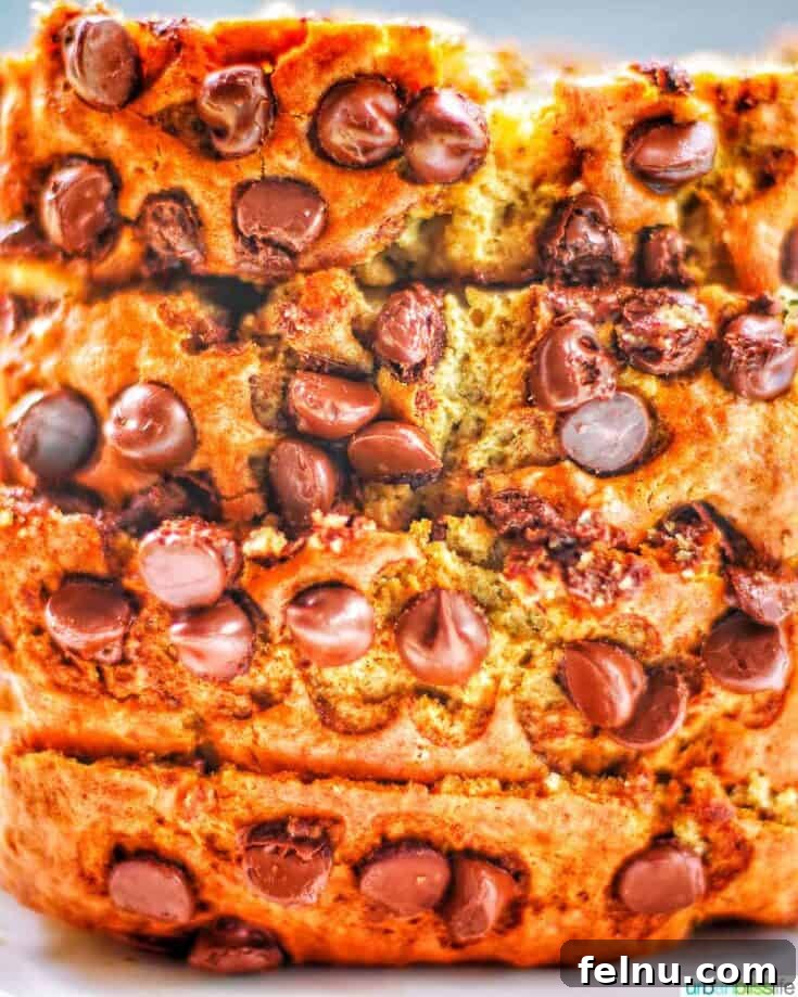 Easy Chocolate Chip Banana Bread