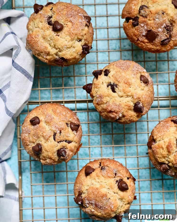 Best Chocolate Chip Muffins