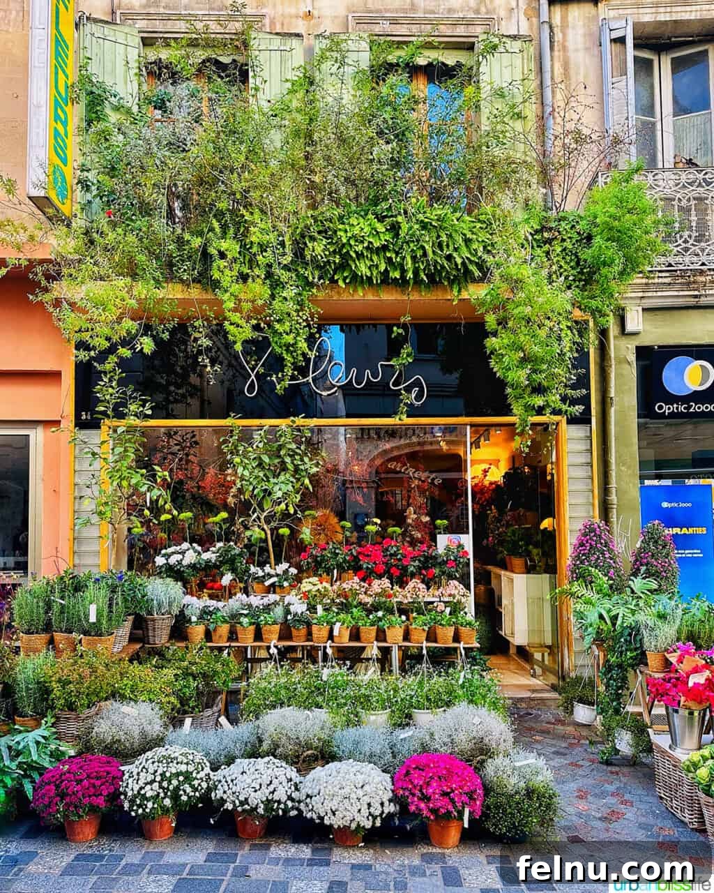 AmaWaterways Cruises: A Provence River Cruise to Remember 11 Arles Flower Shop
