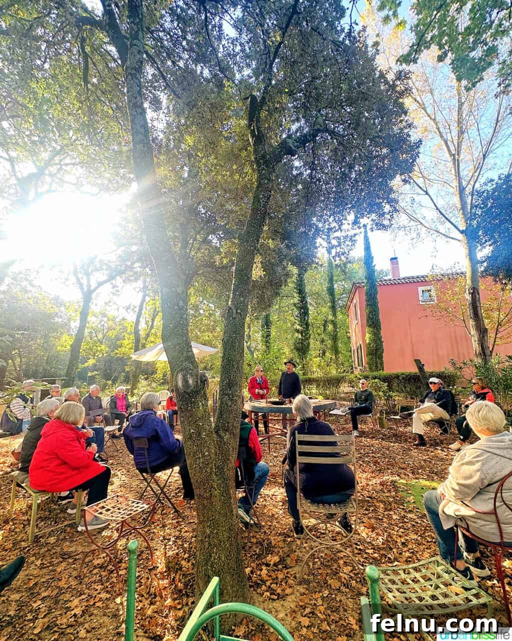AmaWaterways Cruises: A Provence River Cruise to Remember 38 Truffle Farm Sunshine