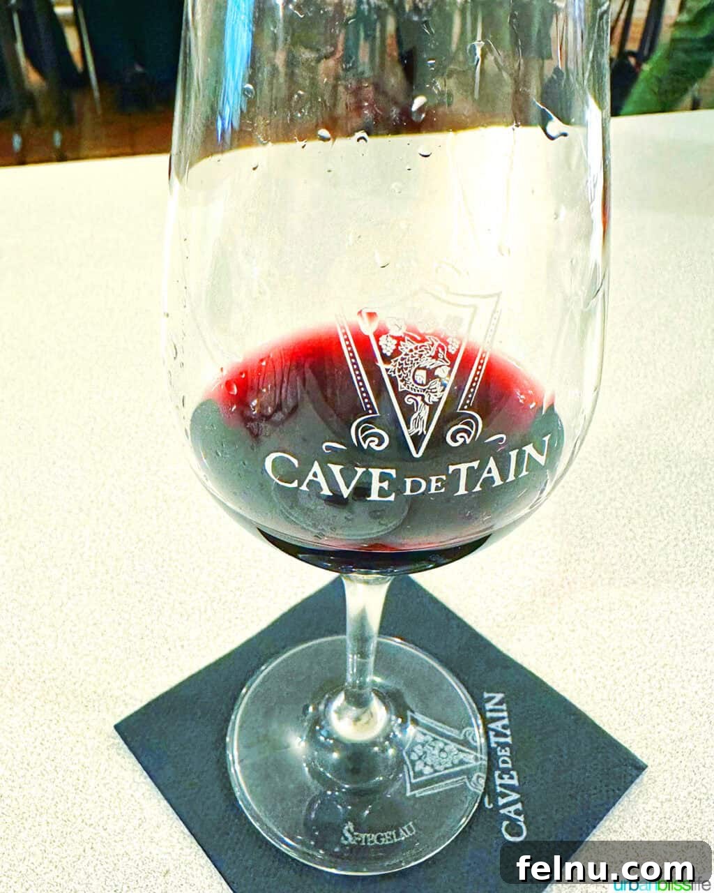 AmaWaterways Cruises: A Provence River Cruise to Remember 41 Tournon Wine Tasting Red