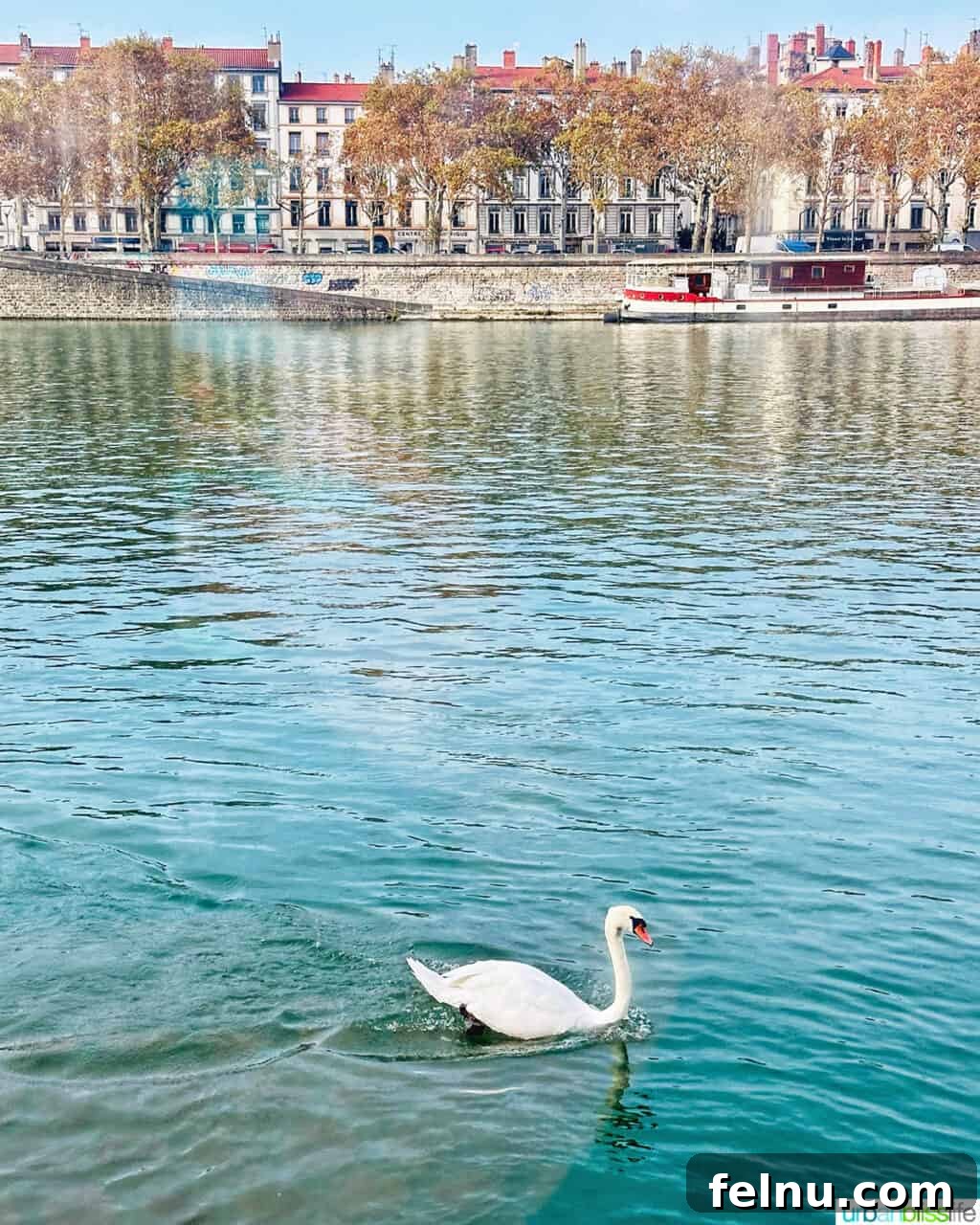 AmaWaterways Cruises: A Provence River Cruise to Remember 48 AmaWaterways Swan Lyon
