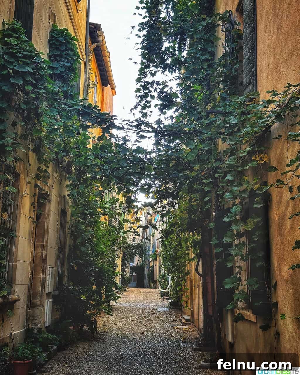 AmaWaterways Cruises: A Provence River Cruise to Remember 9 Arles Cobblestone Street