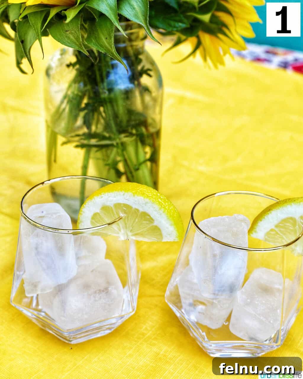 Tinto de Verano Recipe
A Refreshing Spanish Summer Wine Cocktail 5 Ice in glasses
