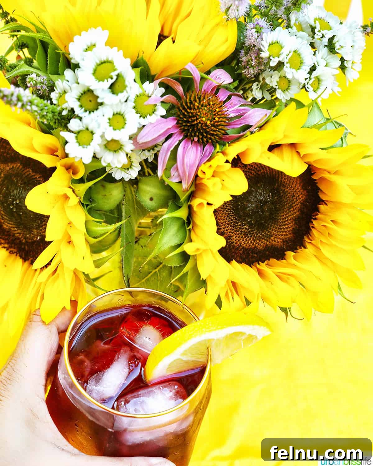 Tinto de Verano Recipe
A Refreshing Spanish Summer Wine Cocktail 8 Tinto de Verano with flowers