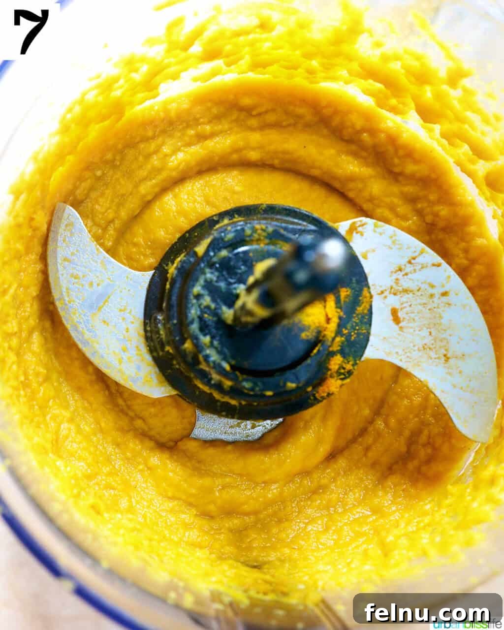 Golden Butternut Squash and Roasted Garlic Spread 12 butternut squash dip in a food processor.