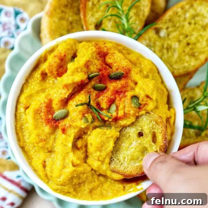 Golden Butternut Squash and Roasted Garlic Spread 15 hand dipping crostini into bowl of butternut squash dip with baguette slices, fresh herbs, and a colorful napkin.