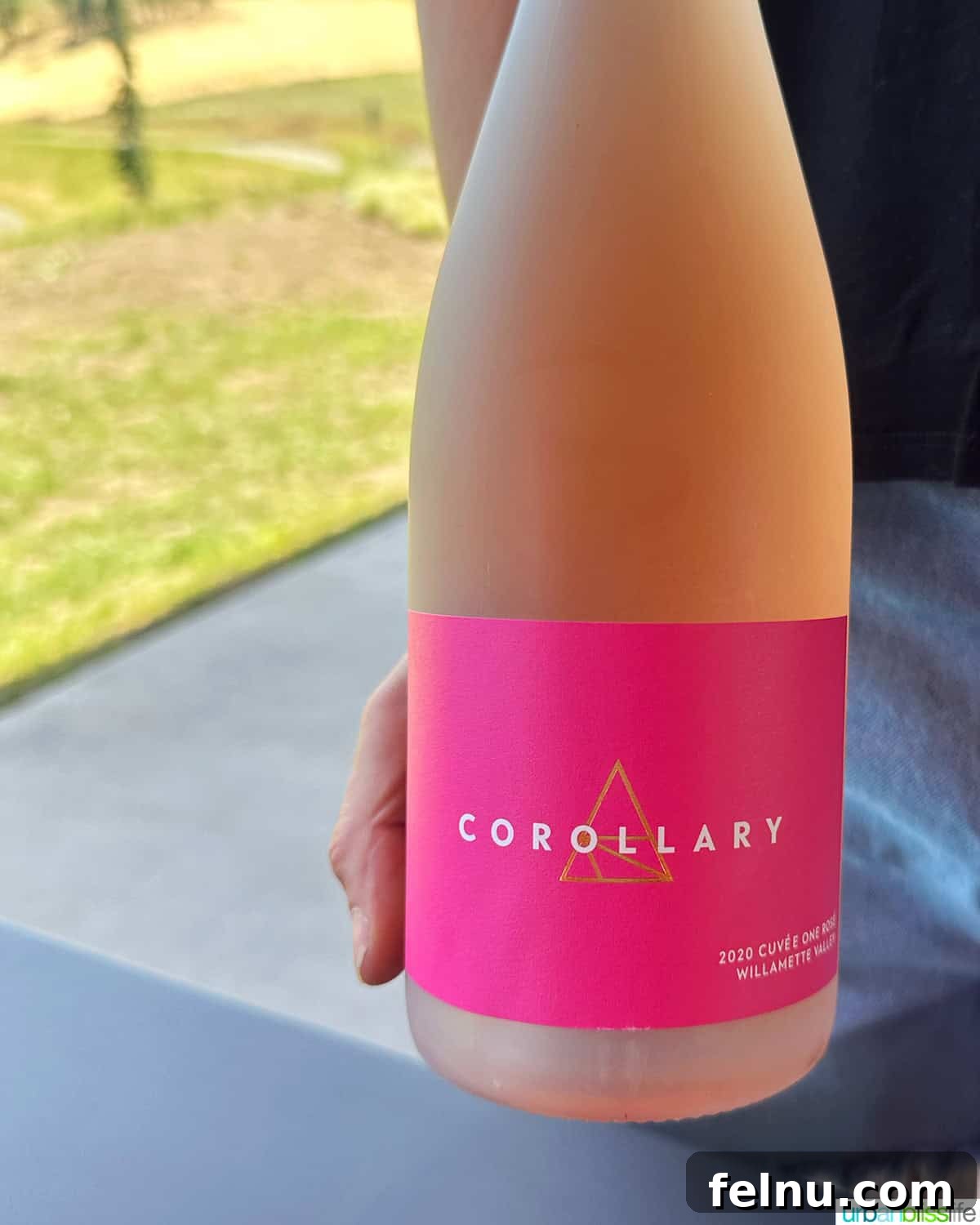 Corollary Wines
Offshoot Wines 2 Corollary 2020 Sparkling Cuvée One Rosé Wine Bottle