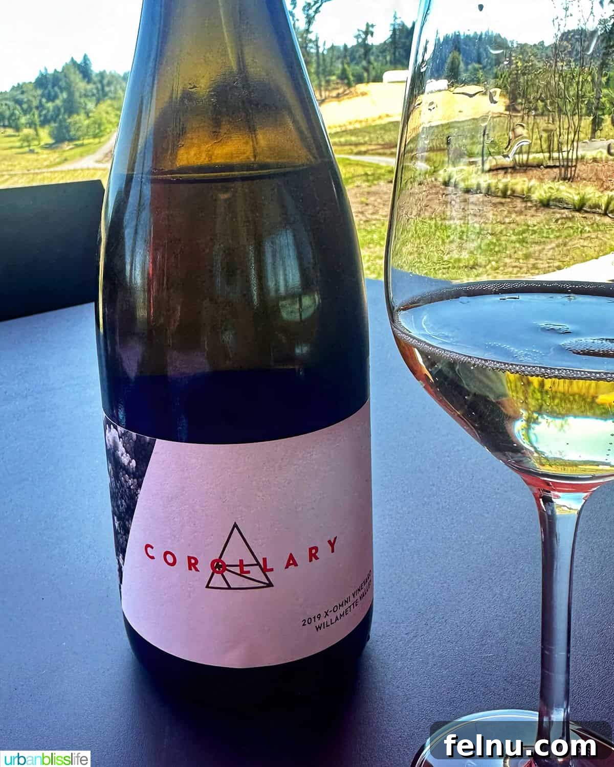 Corollary Wines
Offshoot Wines 6 Corollary 2019 X-Omni Blanc des Blancs Sparkling Wine