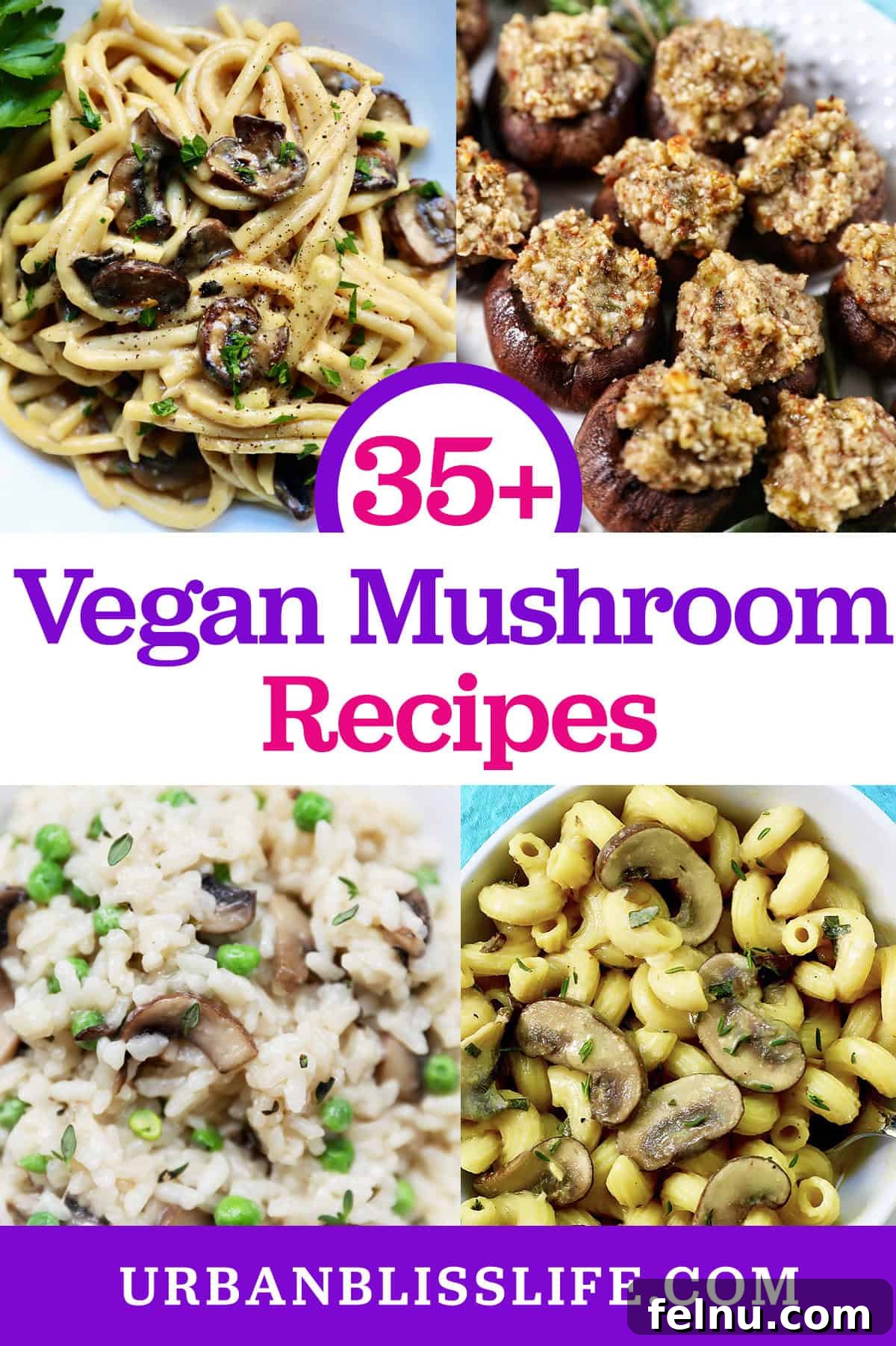 Vegan Mushroom Recipes: Includes mushroom pasta, mushroom risotto, and stuffed mushrooms with title text overlay.