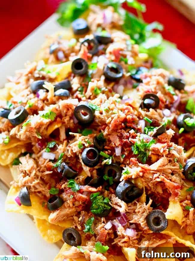Hearty Slow Cooker Pulled Pork Loaded Nachos, a complete meal for Game Day.