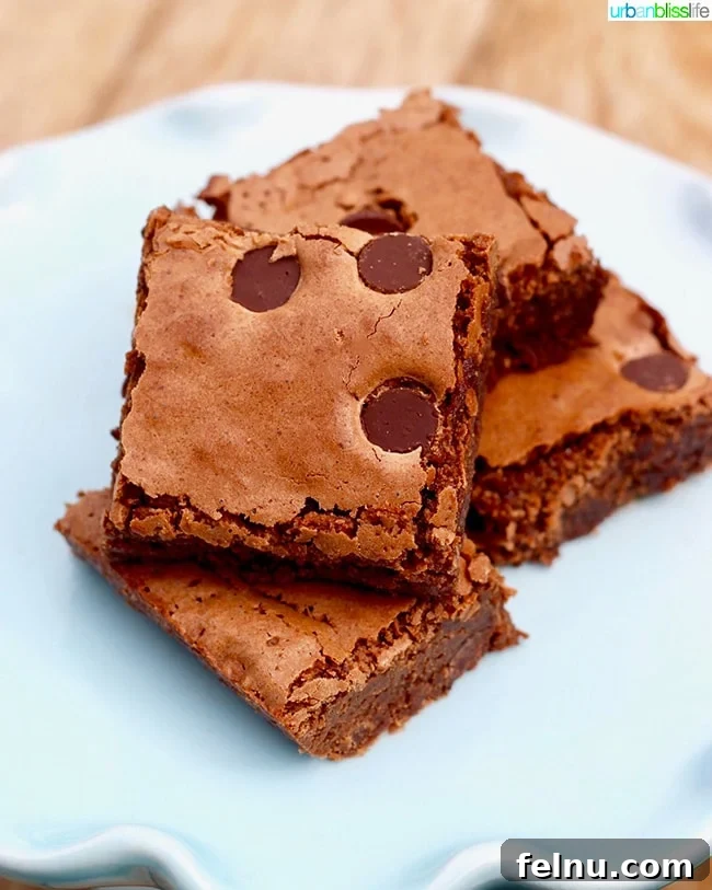 Decadent Pinot Noir Chocolate Chip Brownies with a rich, fudgy texture.