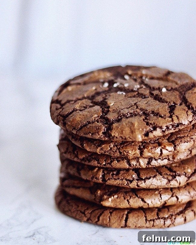 Rich and Chewy Chocolate Fudge Cookies, a delightful dessert.
