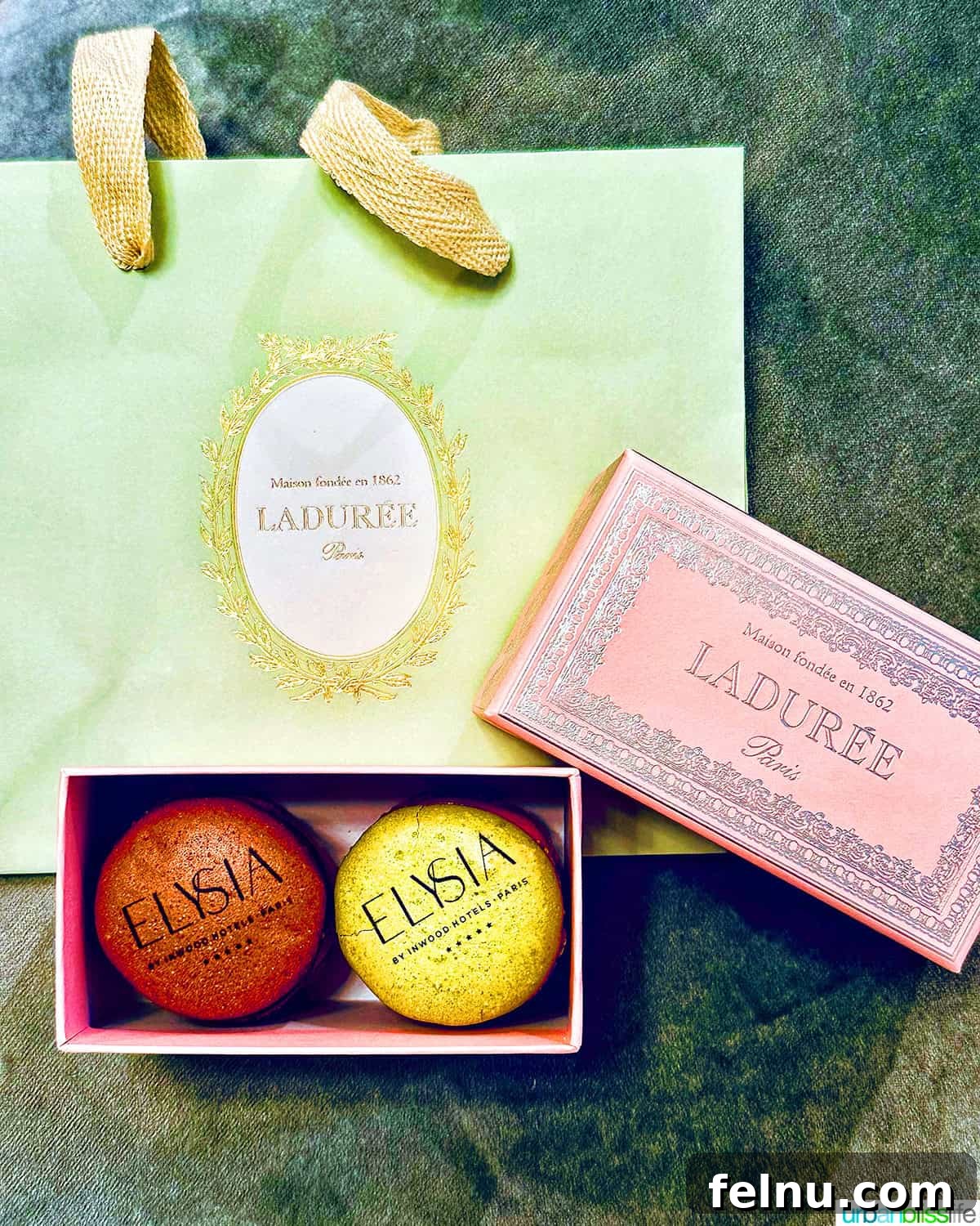 Delicious macarons at Hotel Elysia, Paris, France