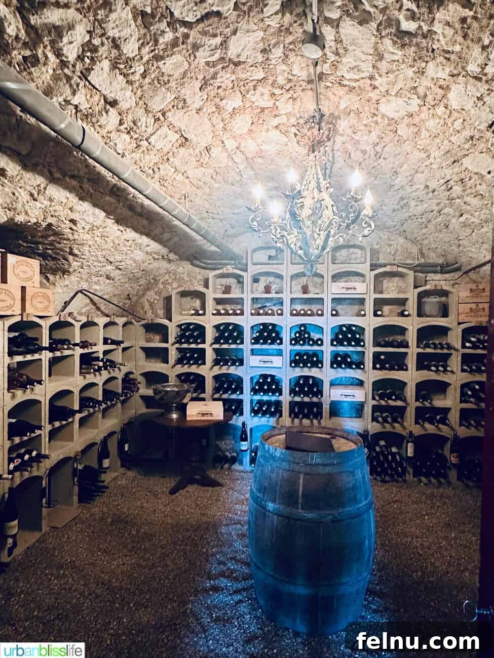 Wine cellar at Chateau de Valcreuse in La Roche-Posay, France