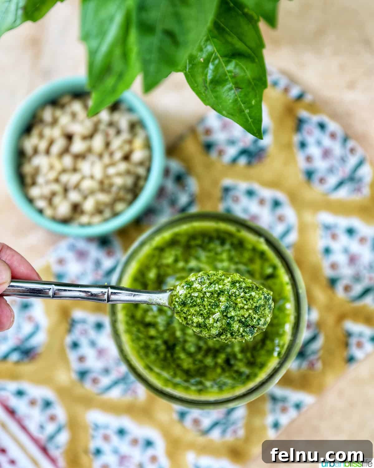 Homemade Basil Pesto: A Burst of Summer Flavor 2 Fresh basil pesto in a jar with a spoonful, accompanied by pine nuts on a colorful napkin