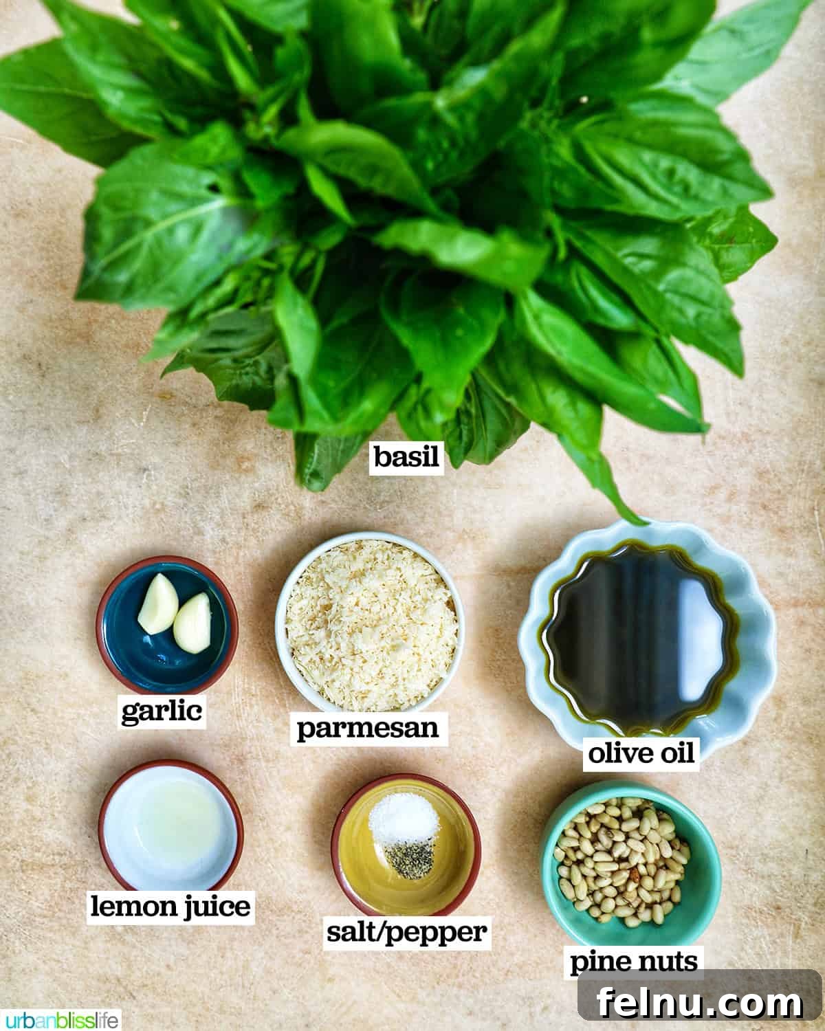 Homemade Basil Pesto: A Burst of Summer Flavor 4 Bowls of fresh ingredients ready to make pesto