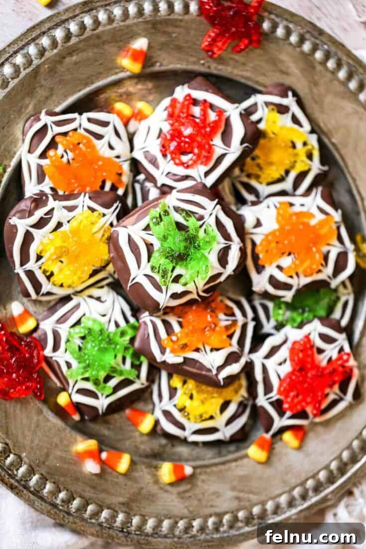 Spider Chocolate Graham Cookies