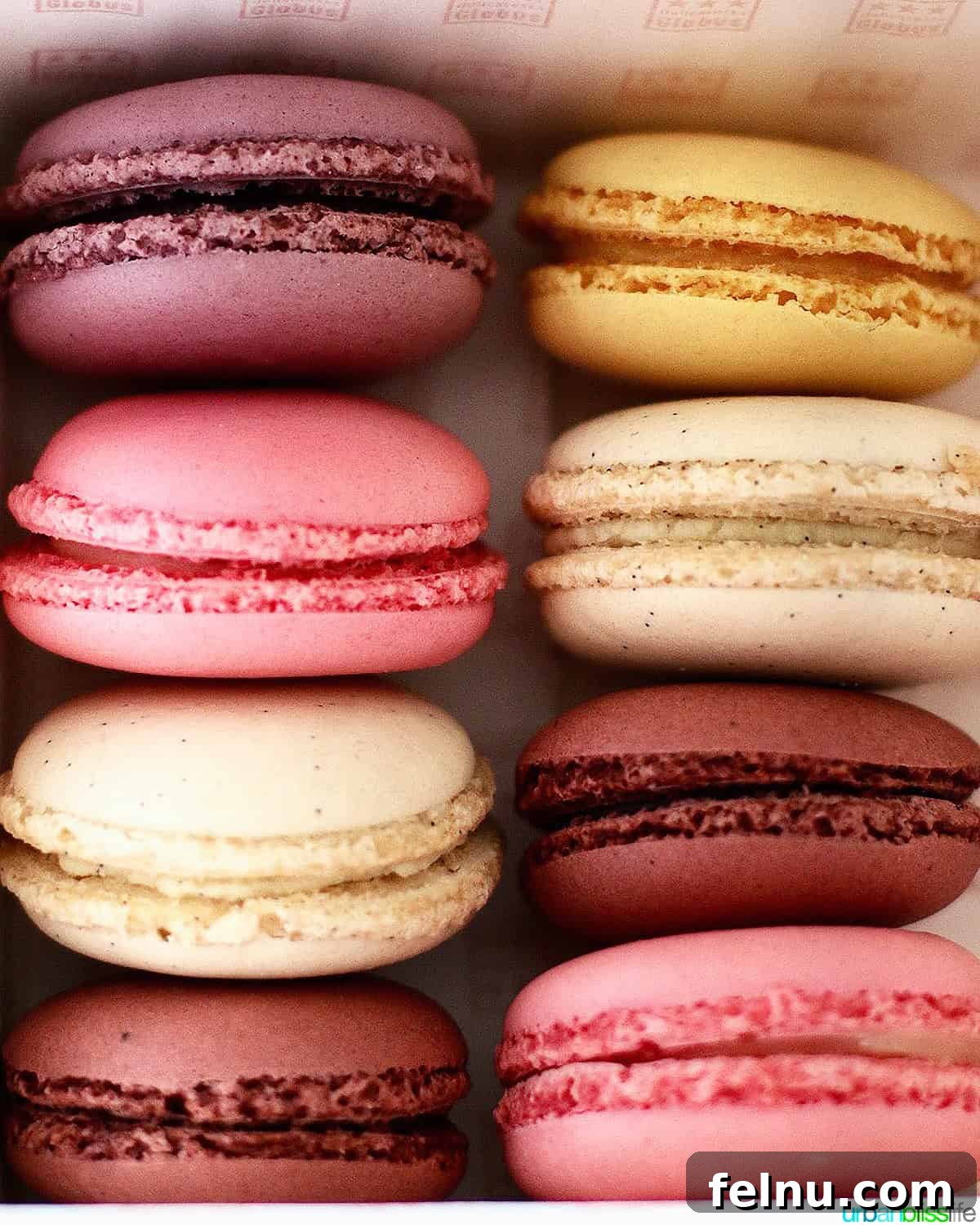 Iconic French Culinary Delights 16 Two vibrant rows of colorful macaron cookies, showcasing their delicate shells and inviting fillings.