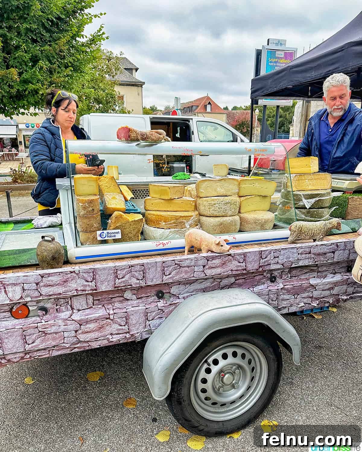 Iconic French Culinary Delights 19 A bountiful cheese cart displayed at a French market in La Roche-Posay, featuring various artisan cheeses, reflecting France's rich dairy culture.