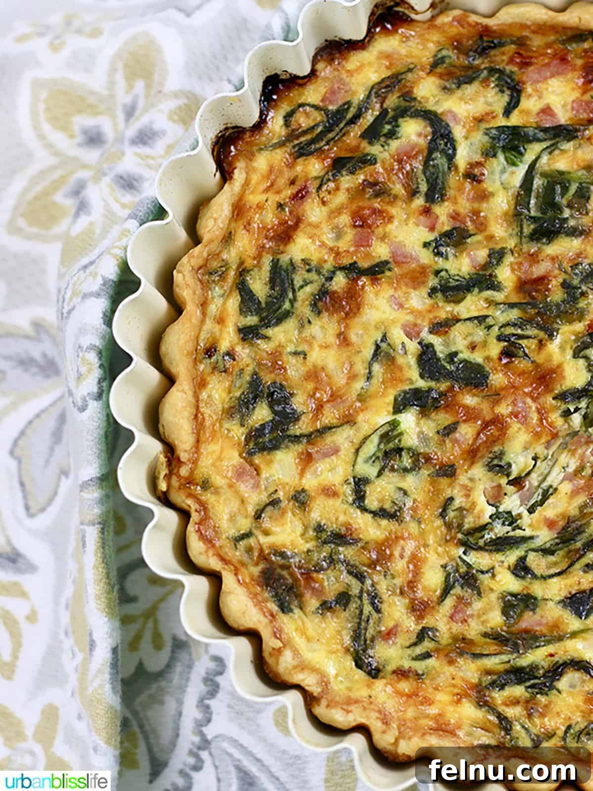 Iconic French Culinary Delights 5 A perfectly baked half of a savory ham, cheddar, and spinach quiche, showcasing its flaky crust and rich filling.