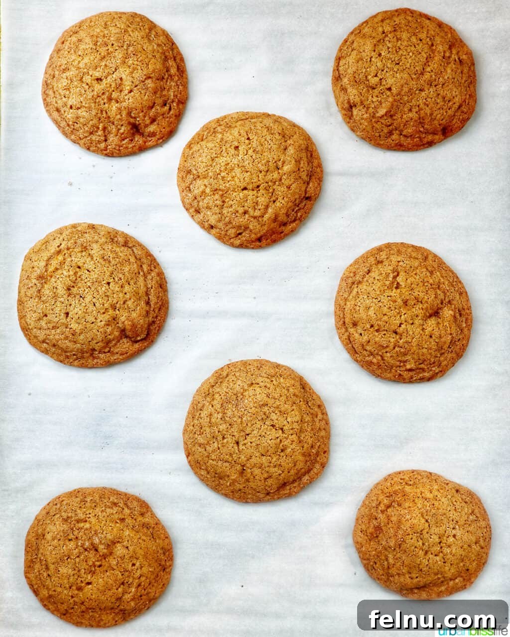 pumpkin pie spice cookies baked on a baking sheet.
