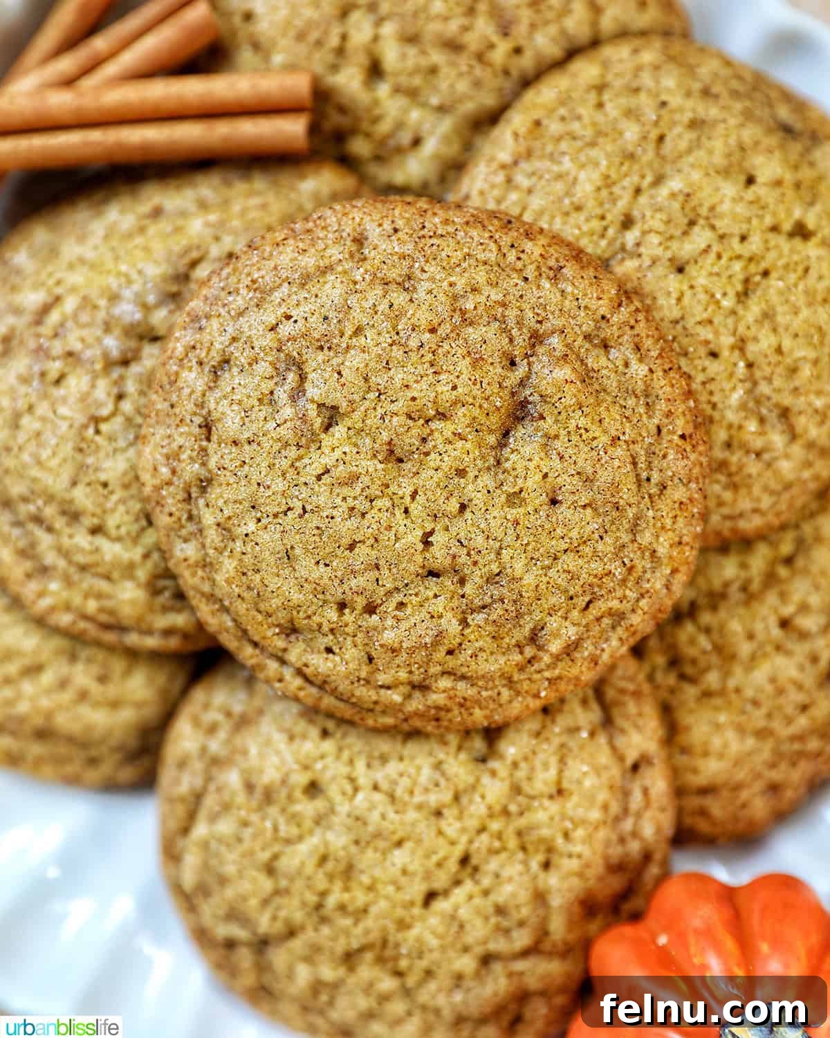 plate full of pumpkin spice cookies with pumpkin decorations and cinnamon sticks.