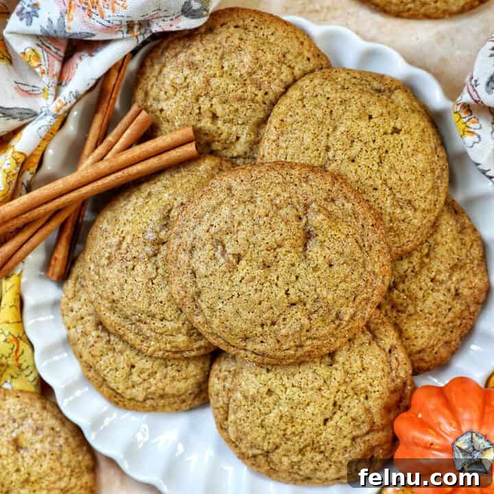 plate full of pumpkin spice cookies with pumpkin decorations and cinnamon sticks.