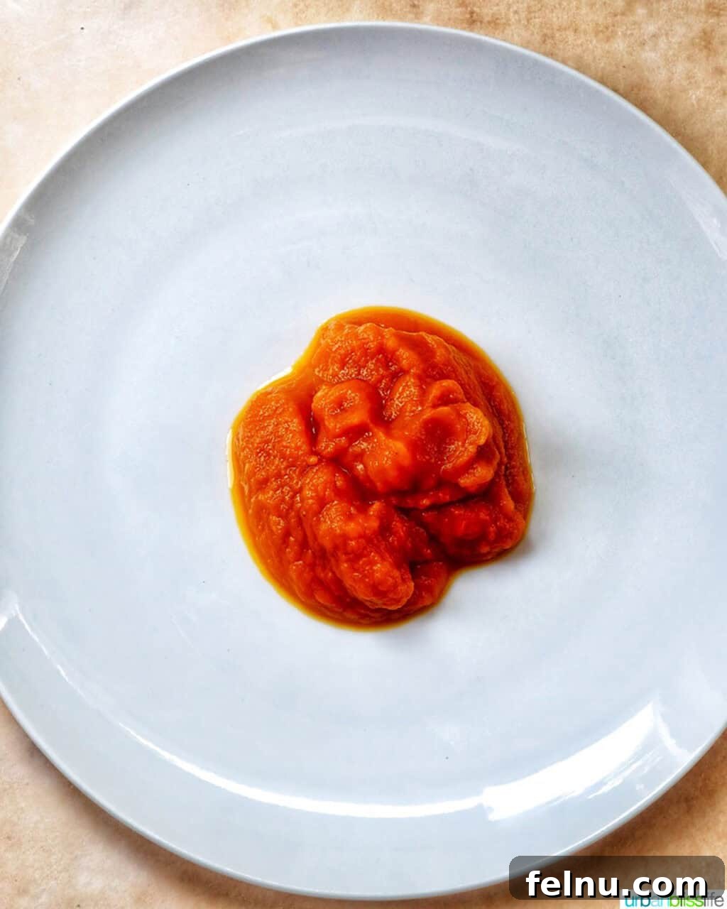 pumpkin puree on a plate